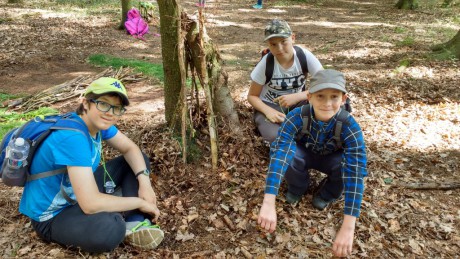 IMG_20180626_103416906_HDR