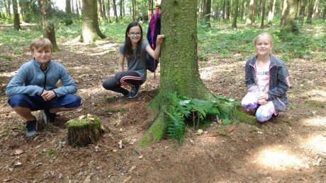 IMG_20180626_103459262