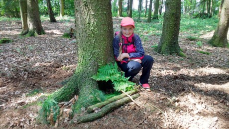 IMG_20180626_103533823_HDR