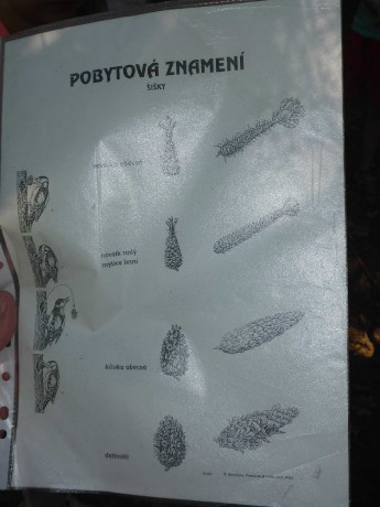 P1140452