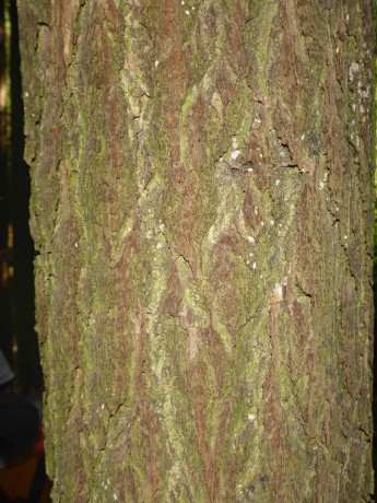 P1140469