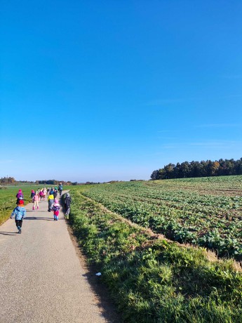 Podzimní plody 2022.10.18 MŠ Dolní Třebonín 0009