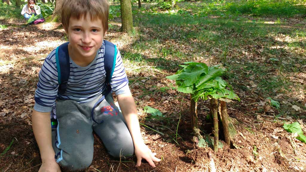 IMG_20180626_102553811