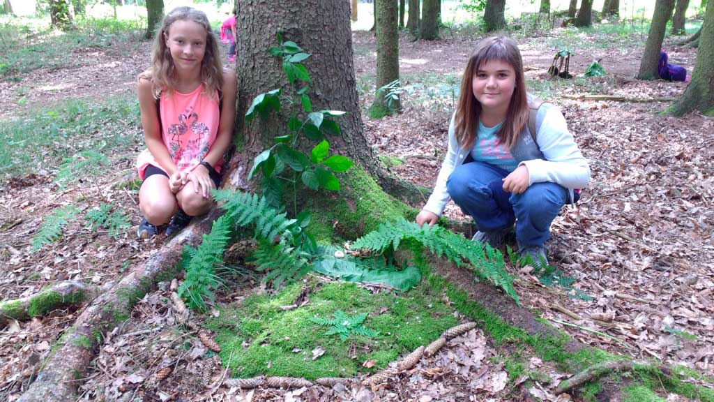 IMG_20180626_103102349