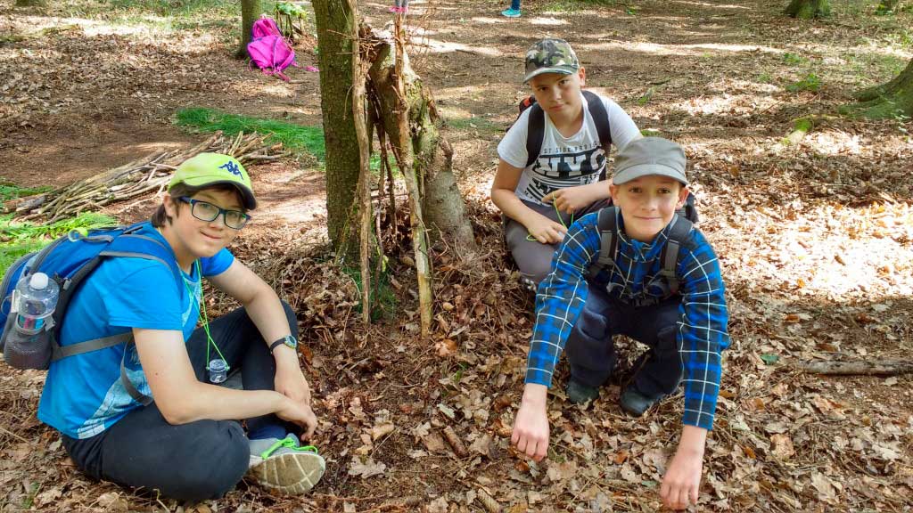 IMG_20180626_103416906_HDR