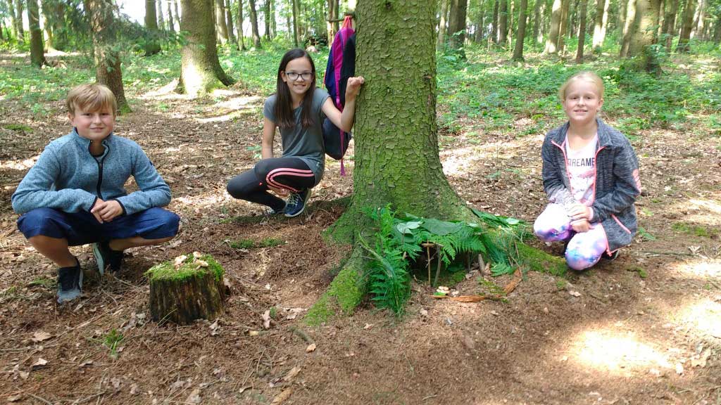 IMG_20180626_103459262