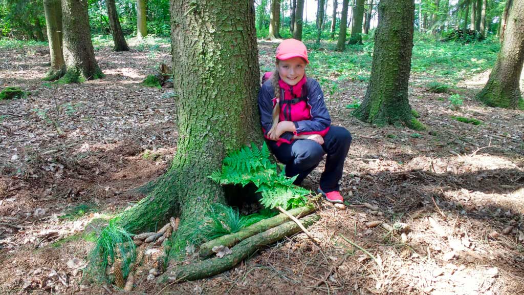 IMG_20180626_103533823_HDR