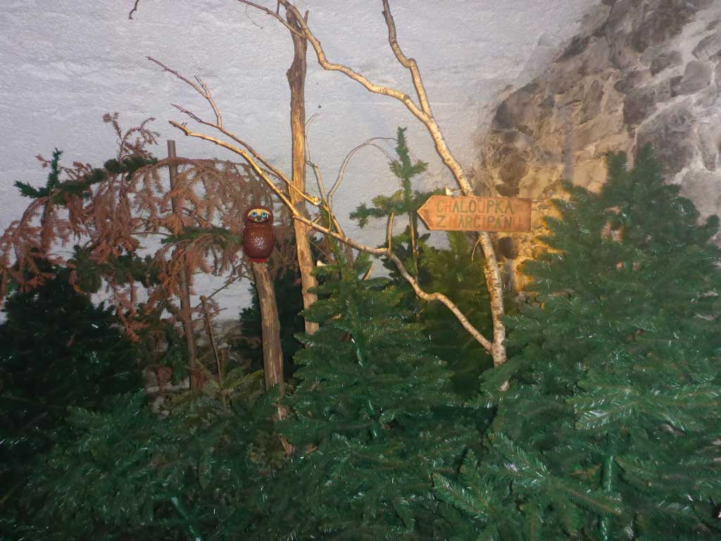 P1110971