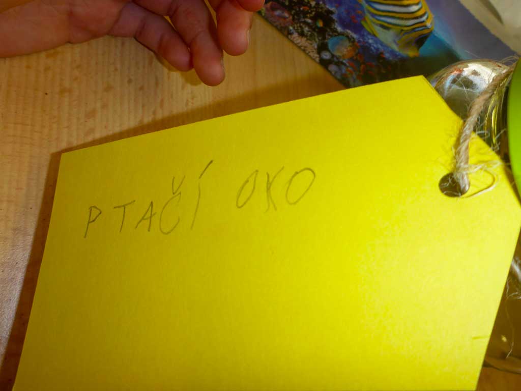 P1140915