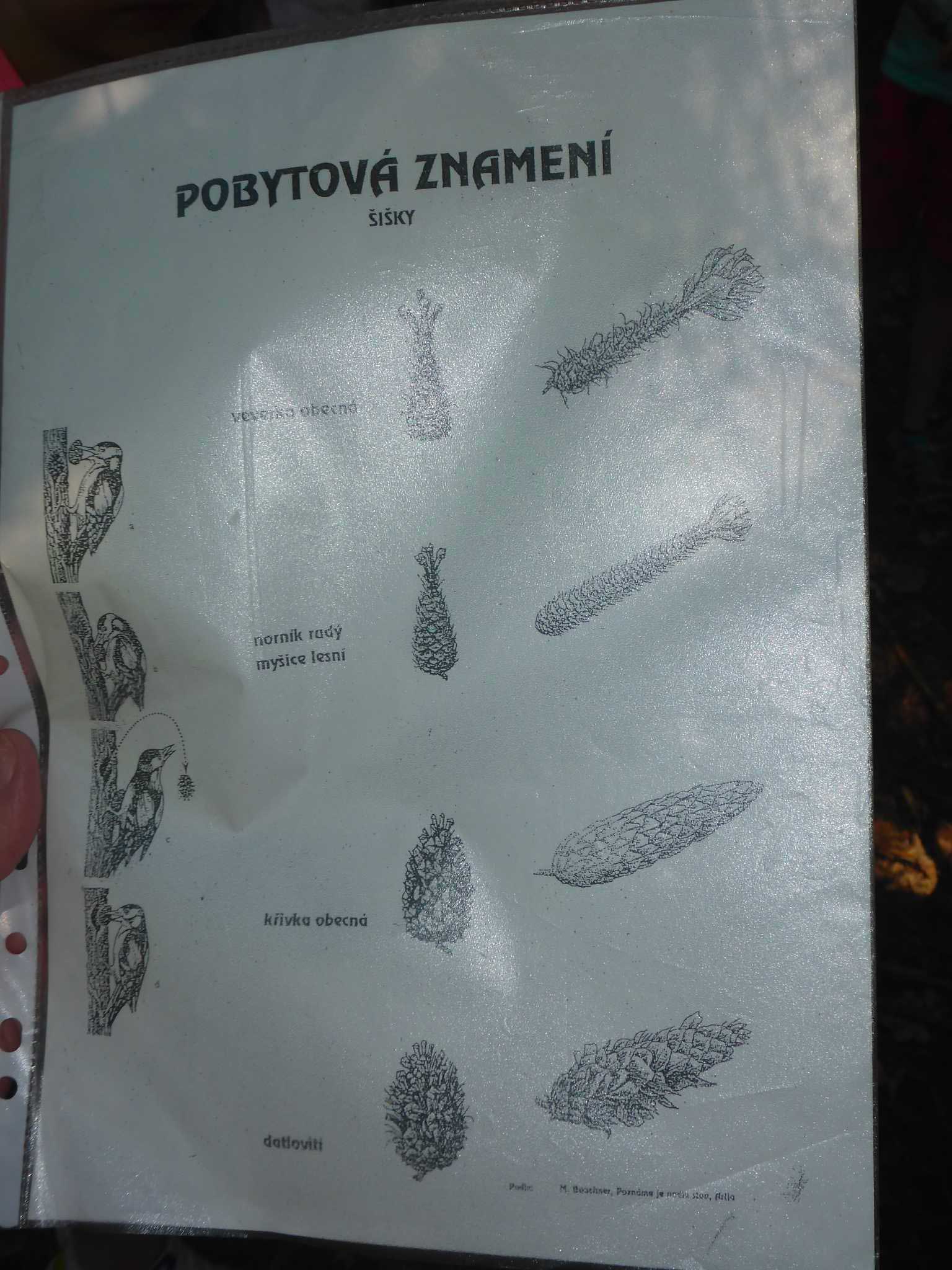 P1140452
