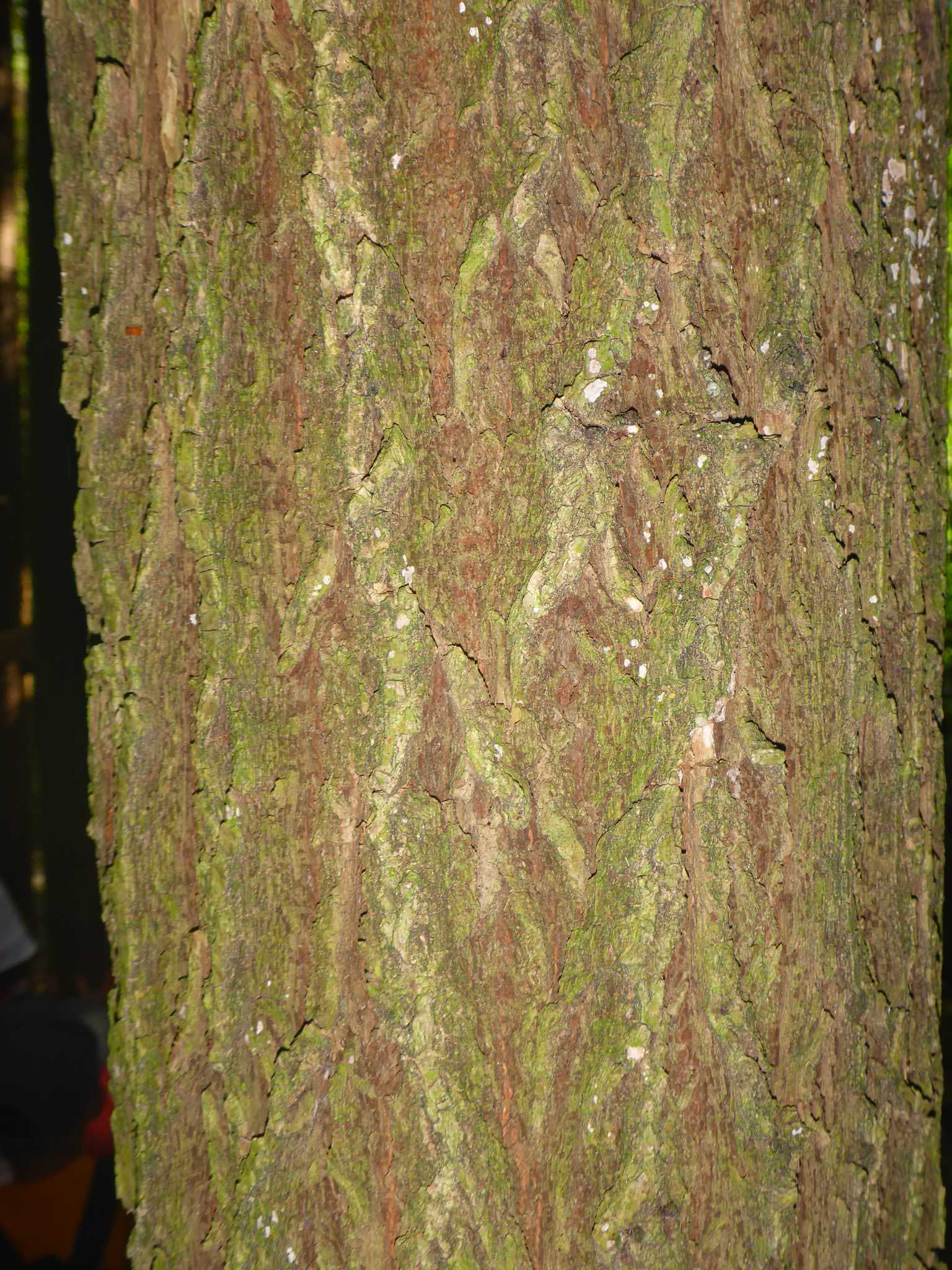 P1140469