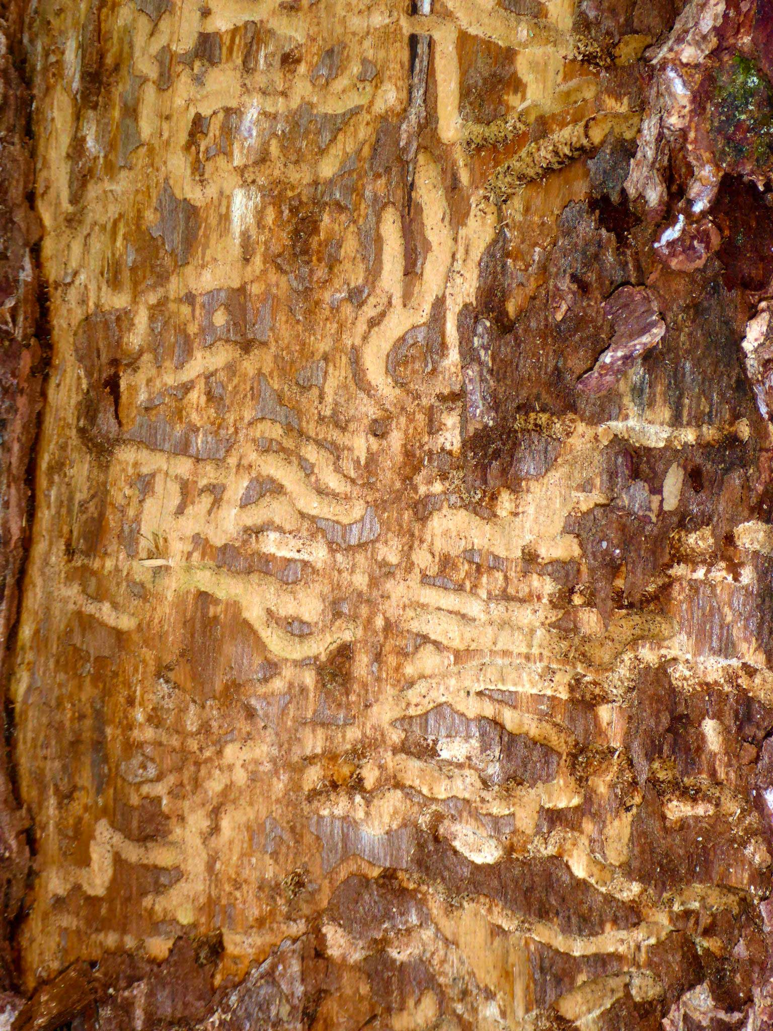 P1160877