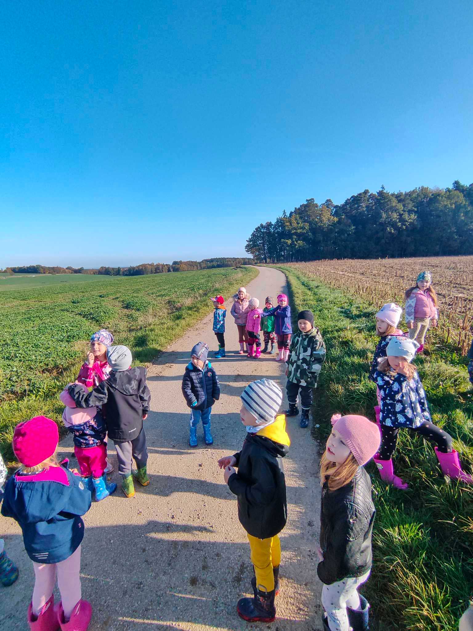 Podzimní plody 2022.10.18 MŠ Dolní Třebonín 0014