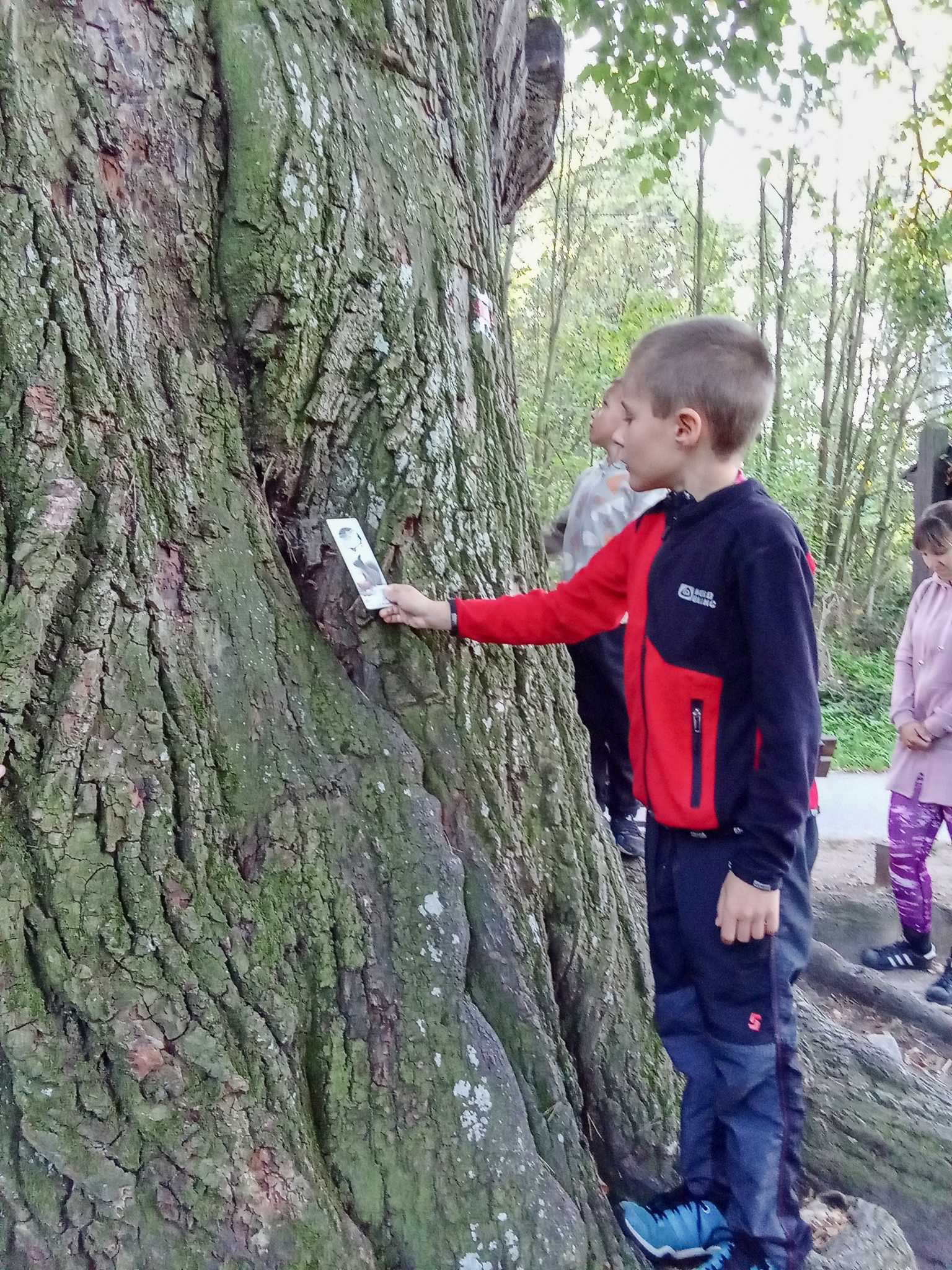 Výprava ZŠ na Dívčí Kámen 2023-09-29 Foto - K. Němečková H. 0017