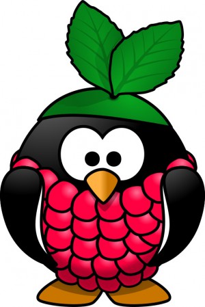 raspberry-penguin--1-.jpg