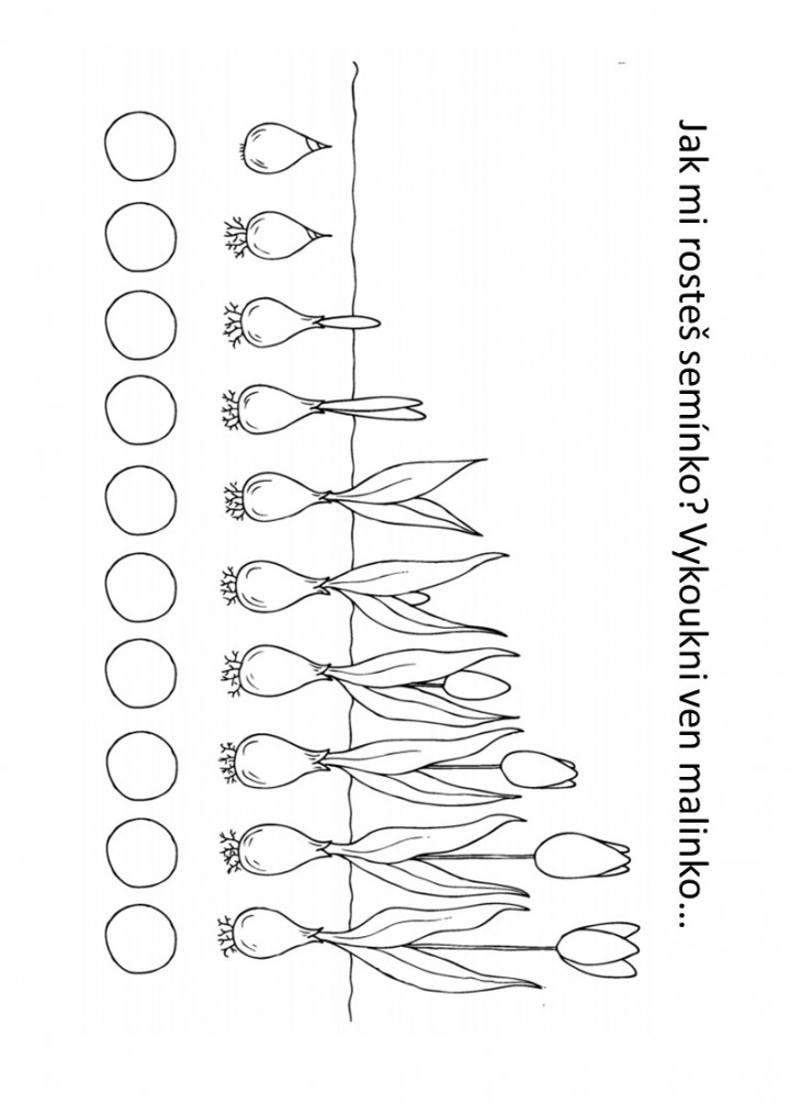 snimek6.jpg